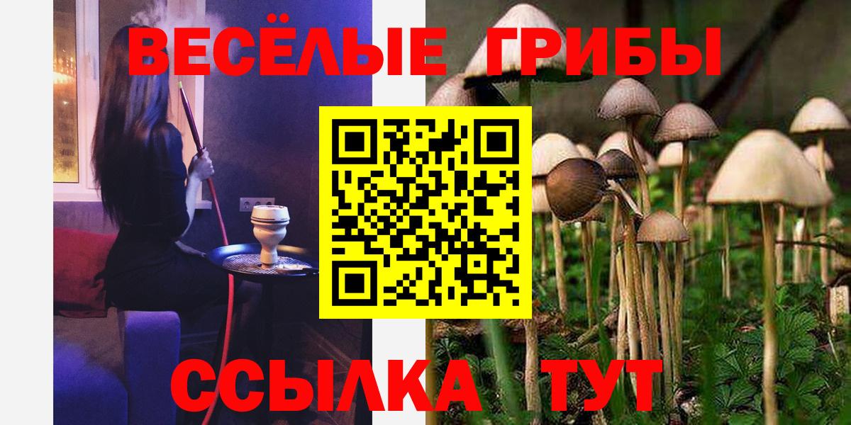 купить наркоту  Галлюциногенные грибы ЛСД  Вход с VPN  Верхняя Пышма 