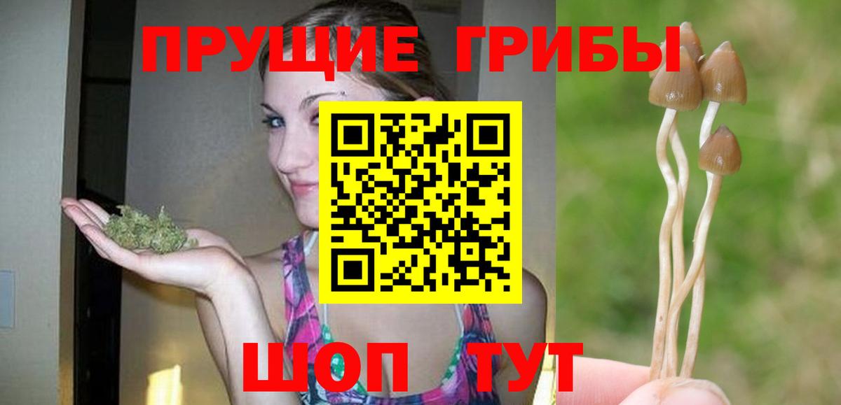 Псилоцибиновые грибы MAGIC MUSHROOMS Верхняя Пышма